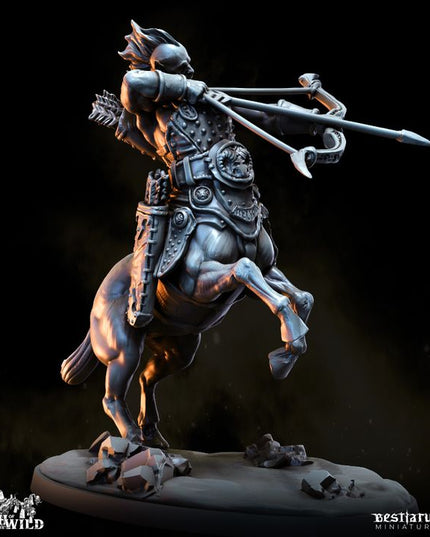 Wrath of the Wild Part 1: Collection