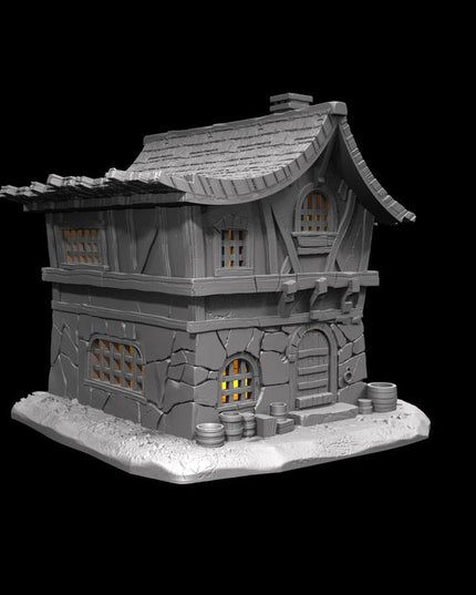 IDP05S03 Biek's Supportless House :: Iridium Places 5 :: Black Blossom Games