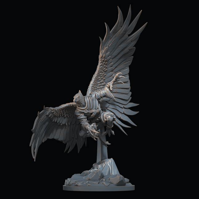 Aarakocra V1