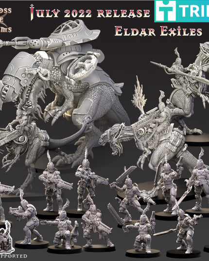 Across the Realms / Eldar Exiles