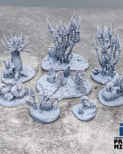 The Expedition Collection - explore and survive the icy Kaltoss Plateau!