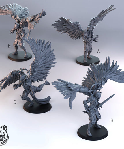 Angel Warrior