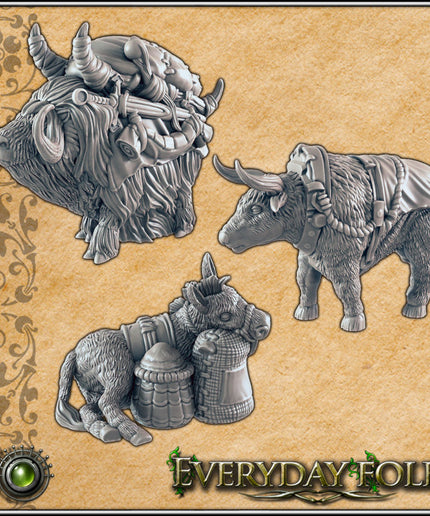 Everyday Folk / Donkey, Pak Yak, Oxen