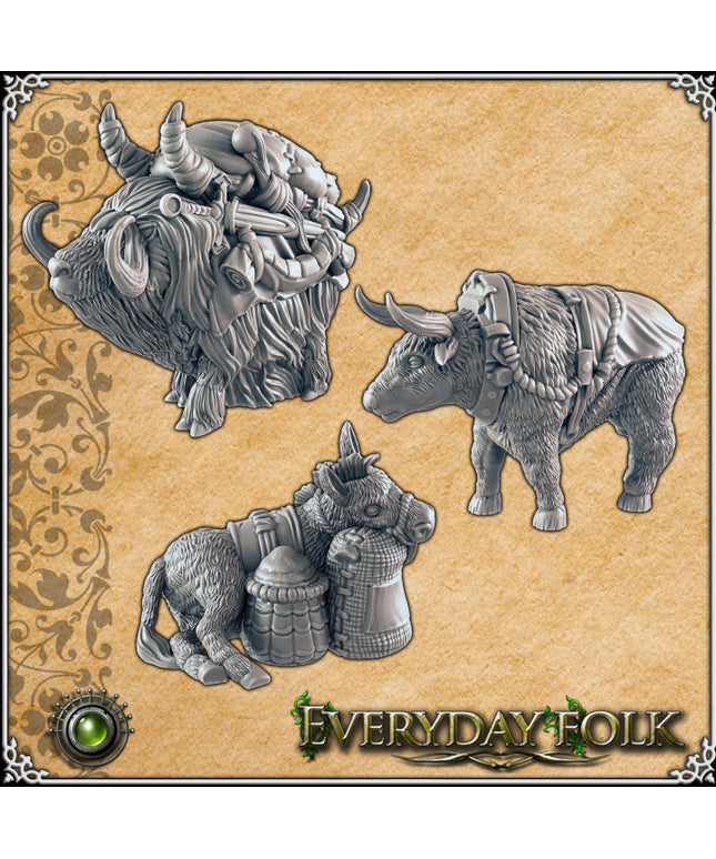 Everyday Folk / Donkey, Pak Yak, Oxen