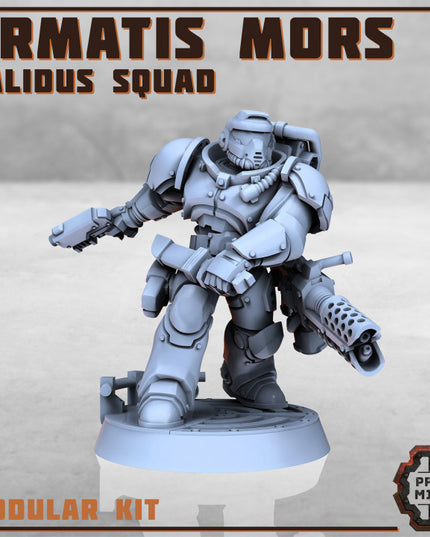 Armatis Mors Warriors - Calidus Squad