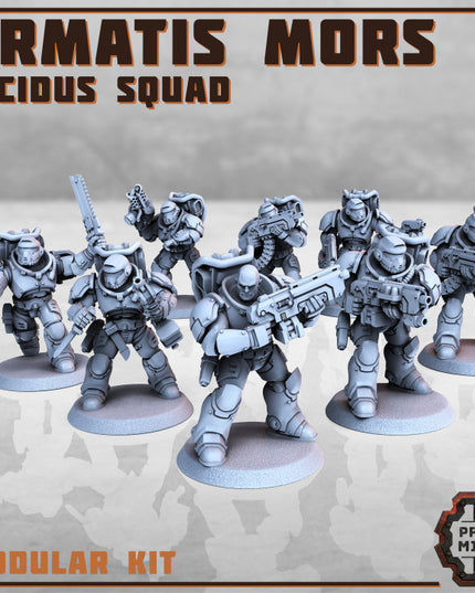 Armatis Mors Warriors - Incidus Squad