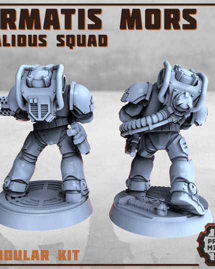 Armatis Mors Warriors - Calidus Squad