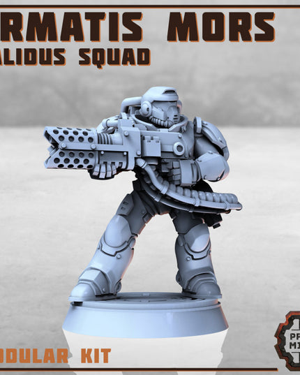 Armatis Mors Warriors - Calidus Squad