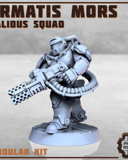 Armatis Mors Warriors - Calidus Squad