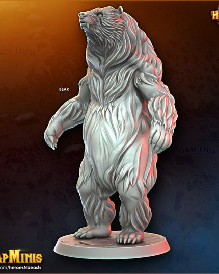 bear