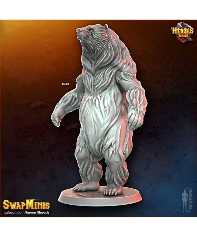 bear