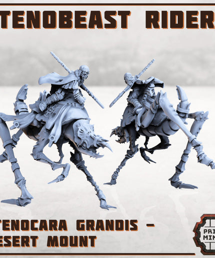 Erroish Chief - Desert Rider