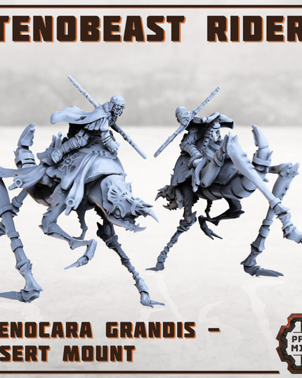 Erroish Chief - Desert Rider