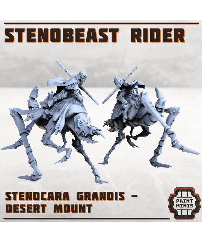 Erroish Chief - Desert Rider