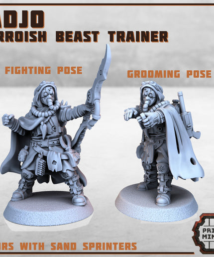 Adjo - Erroish Beast Trainer x2