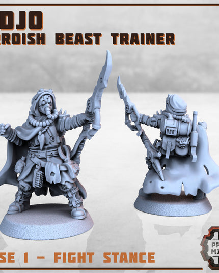 Erroish Beast Trainer and Sand Sprinters