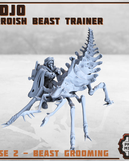 Erroish Beast Trainer and Sand Sprinters