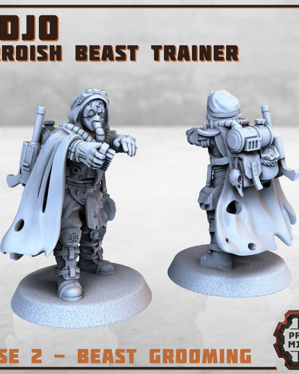 Erroish Beast Trainer and Sand Sprinters