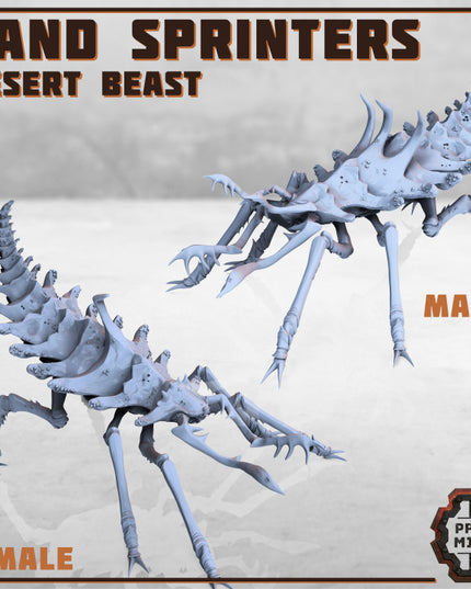 Erroish Beast Trainer and Sand Sprinters