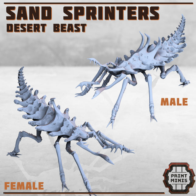 Erroish Beast Trainer and Sand Sprinters