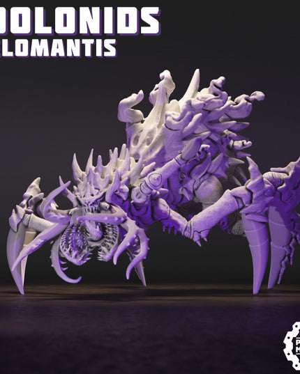 Idolonids - Belomantis