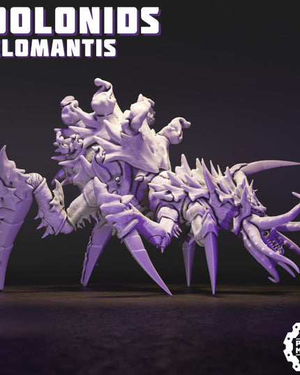 Idolonids - Belomantis