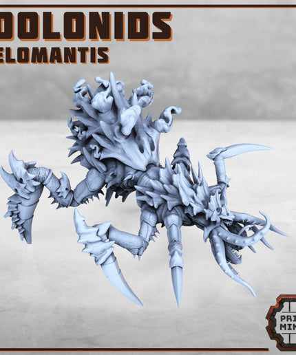 Idolonids - Belomantis