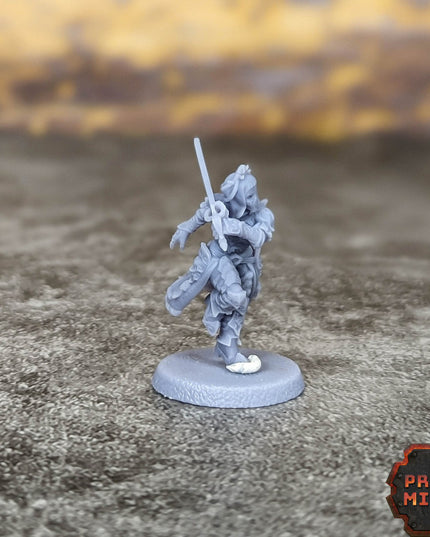 Noble Bodyguard