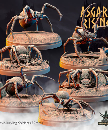 Cave-lurking Spiders