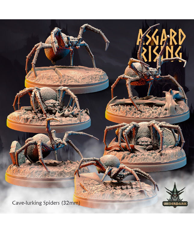 Cave-lurking Spiders