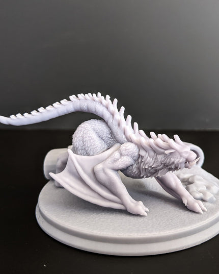 Chirodon Alien Species - Space Pirates Collection