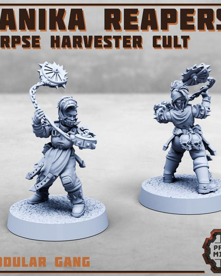 Danika Reapers - Corpse Harvester Cult