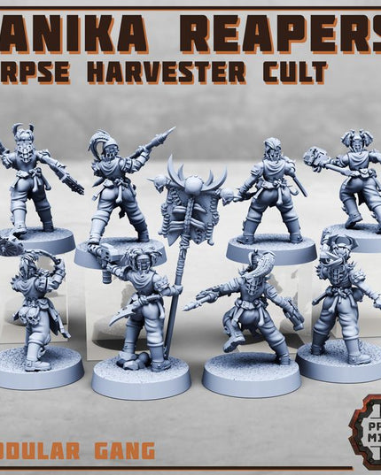 Danika Reapers - Corpse Harvester Cult