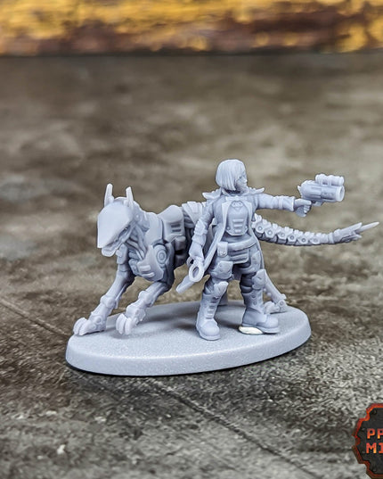 Enforcer Inspector & Cyberhound