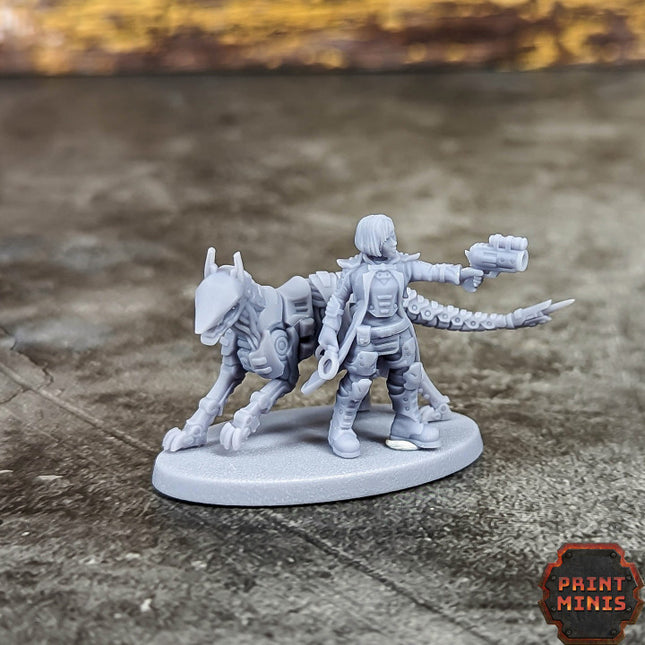 Enforcer Inspector & Cyberhound