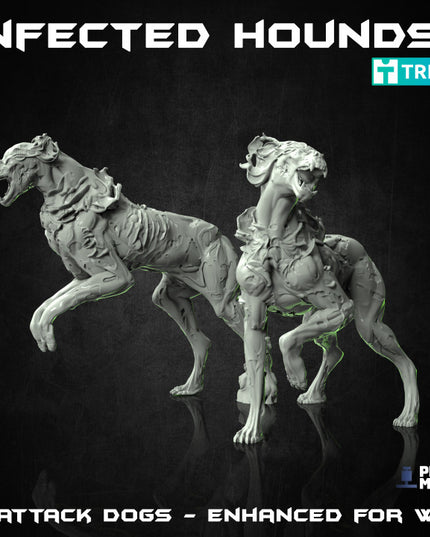 Infected Hounds - The Outbreak Collection