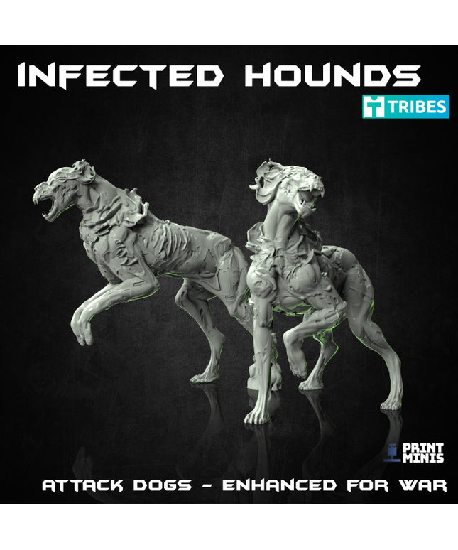 Infected Hounds - The Outbreak Collection