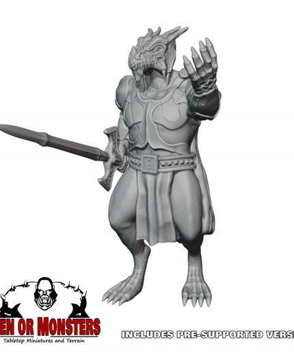 Dragonborn Fighter/Paladin - 1 Figure
