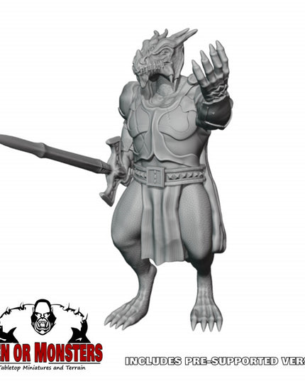 Dragonborn Fighter/Paladin - 1 Figure