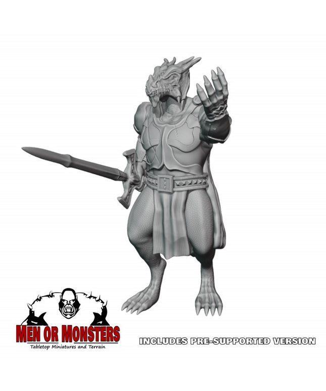 Dragonborn Fighter/Paladin - 1 Figure