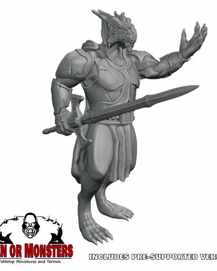 Dragonborn Fighter/Paladin - 1 Figure