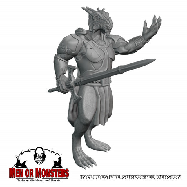 Dragonborn Fighter/Paladin - 1 Figure