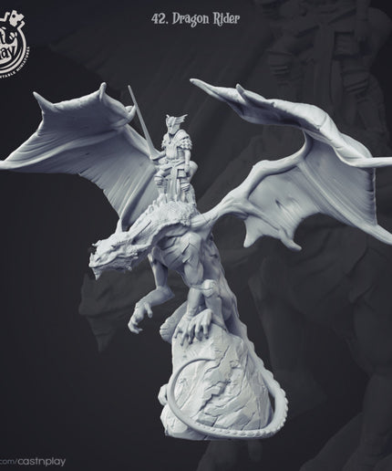 Dragon Rider