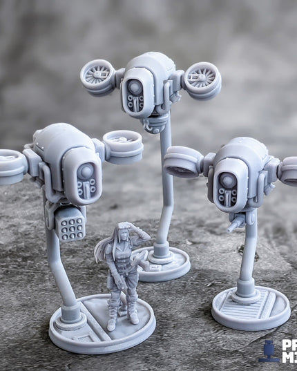 Anastasia and her Drones - Ironside Docks Collection