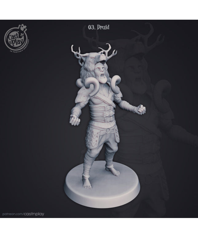 Druid