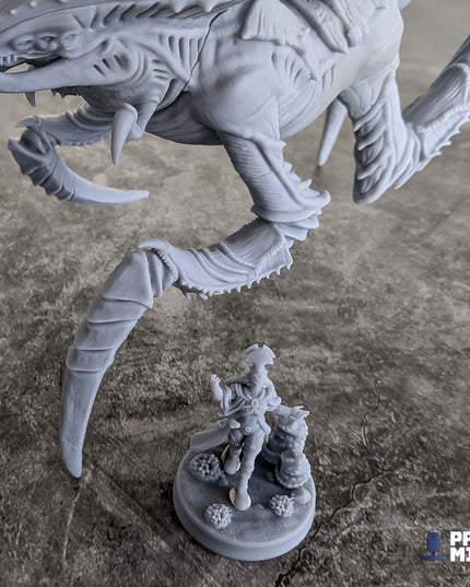 Dust Stalker Aliens - Dimozian Sands Collection