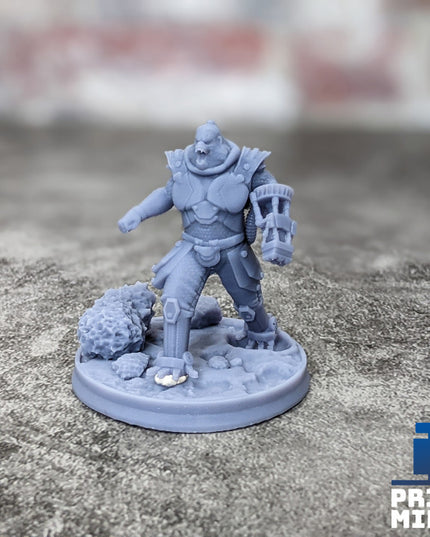 Enforcer Commander - Simii Species - Narok Prison Collection