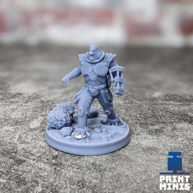 Enforcer Commander - Simii Species - Narok Prison Collection