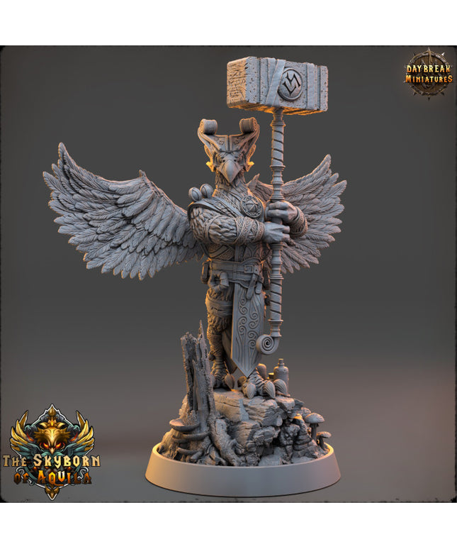Enok Bluefeather - The Skyborn of Aquila