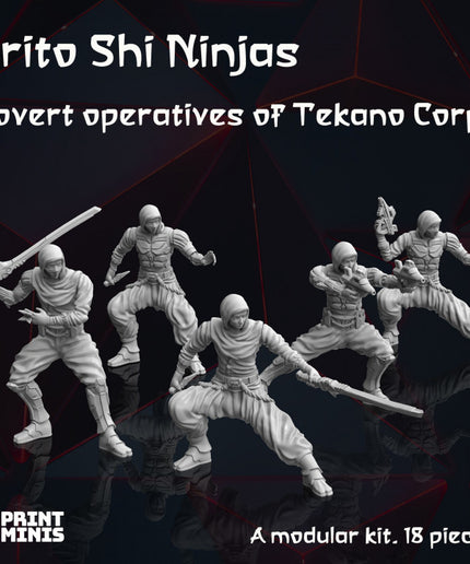 Modular Sci-Fi Ninjas - Tekano Corp Collection